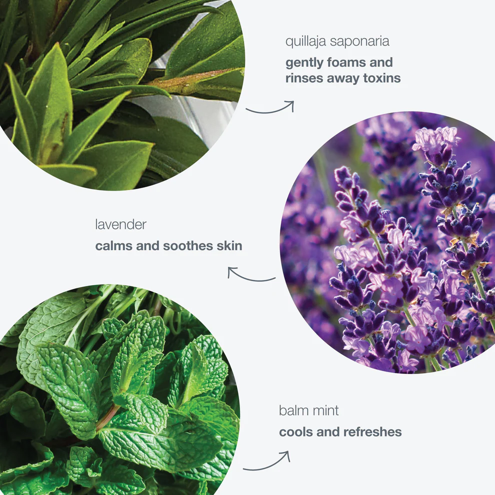 pro-collagen banking serum - Image 10